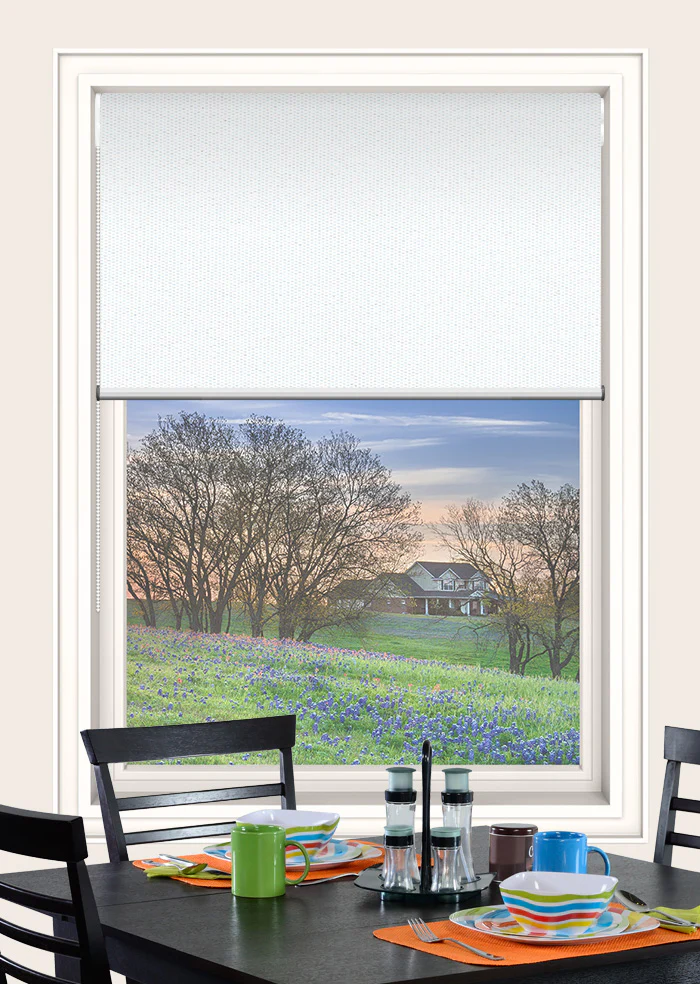 Sale - 10% Febharvey Double Rollers